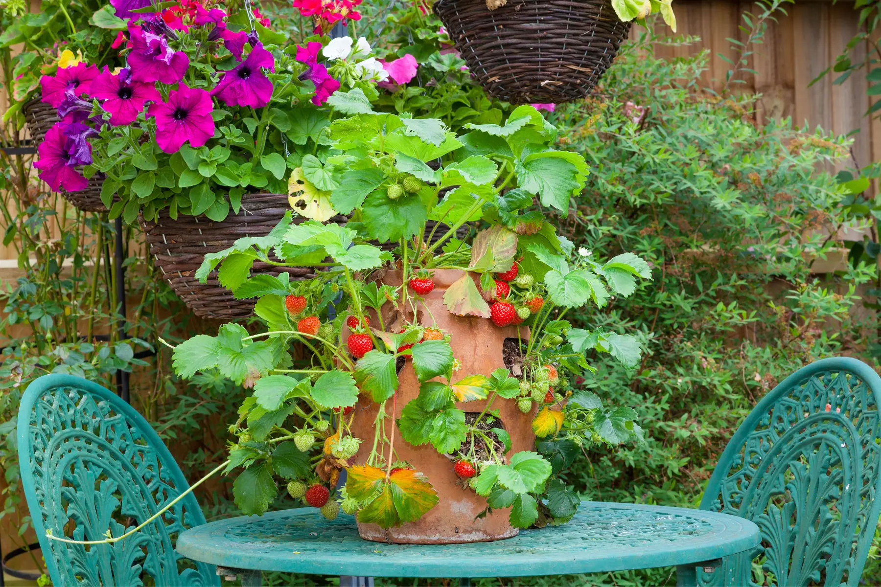 diy strawberry planters