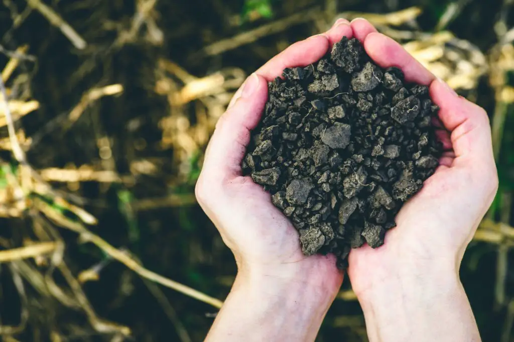 rocks in soil