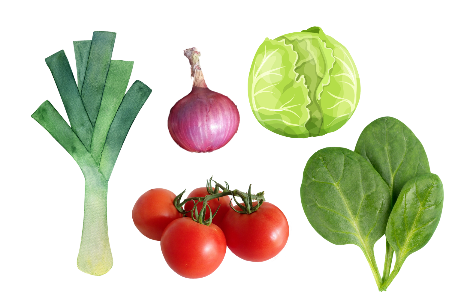 Celery Companion Plants Real Men Sow