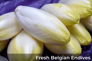 Fresh Belgian Endives