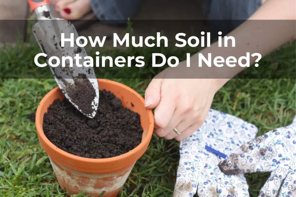 How Much Soil in Containers Do I Need
