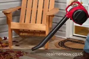Is a leaf blower worth the investment2