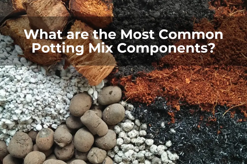 What are the Most Common Potting Mix Components?