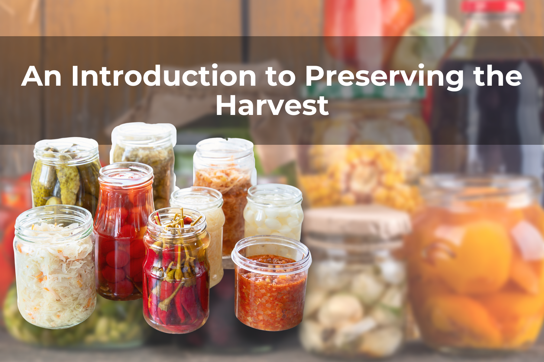 An Introduction to Preserving the Harvest