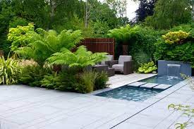 Best Tropical Plants In Uk For Creating A Tropical Garden