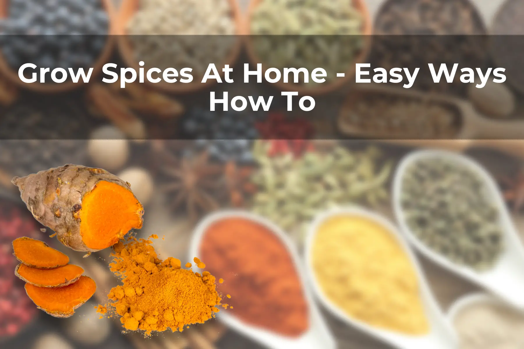 Grow Spices At Home - Easy Ways How To