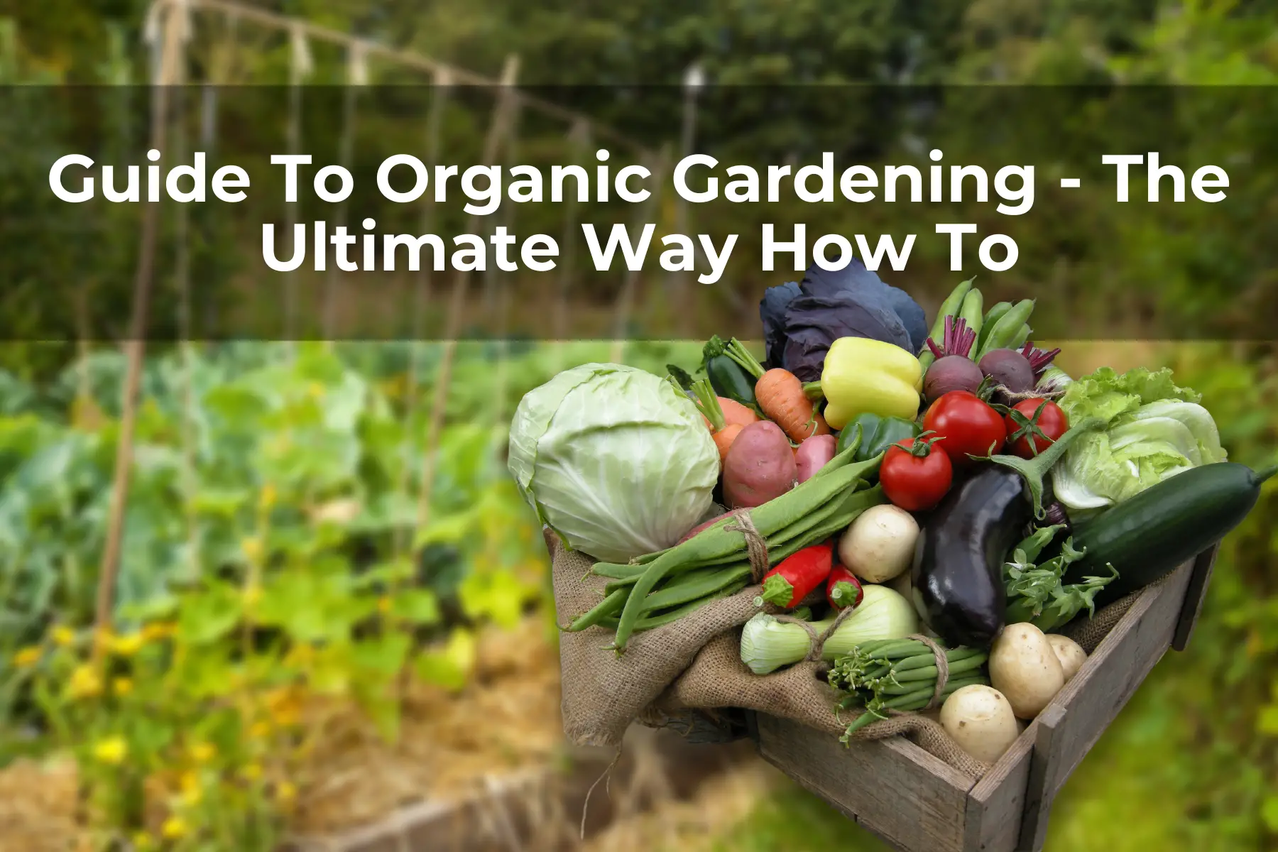Guide To Organic Gardening - Ultimate Way How To