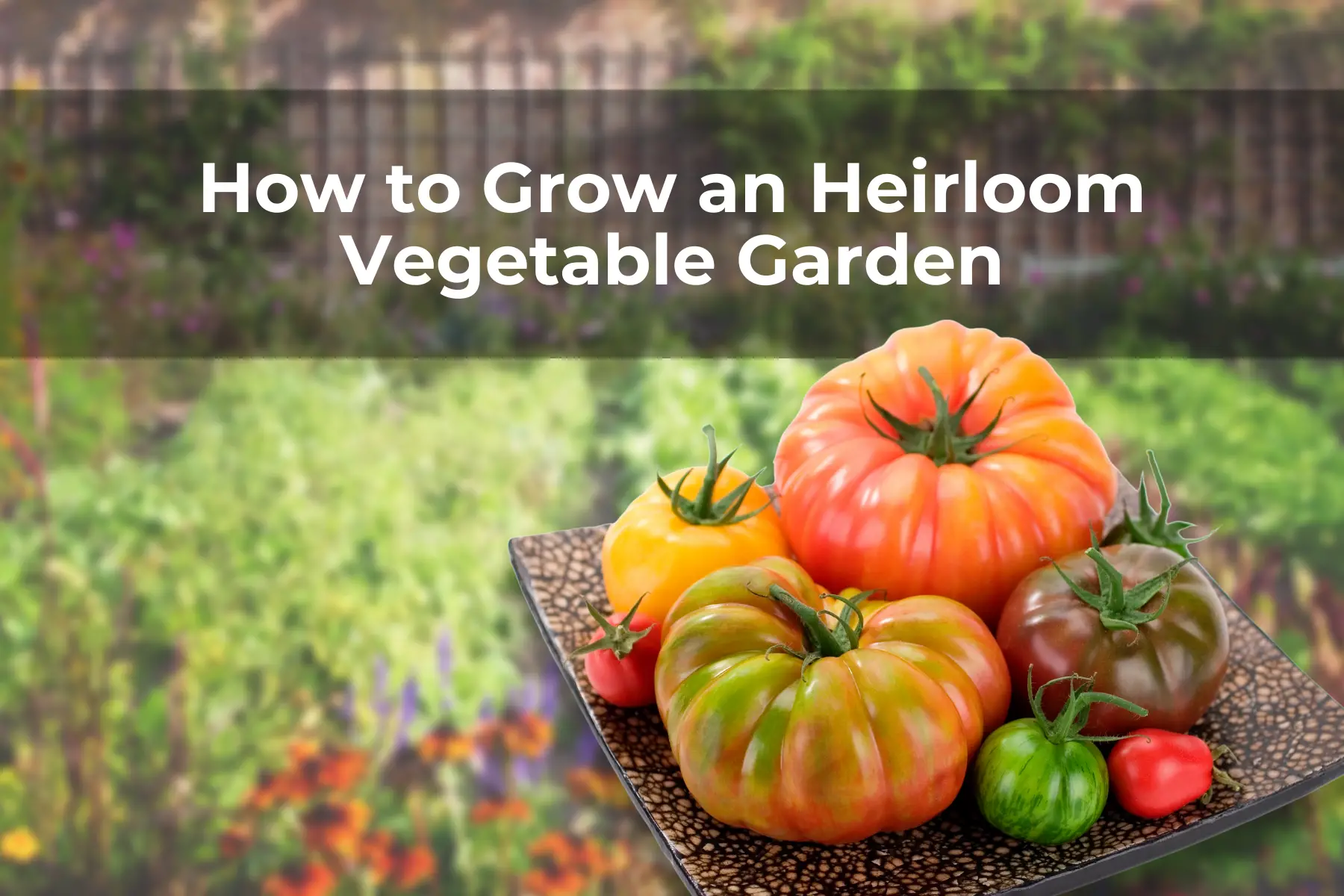 How to Grow an Heirloom Vegetable Garden