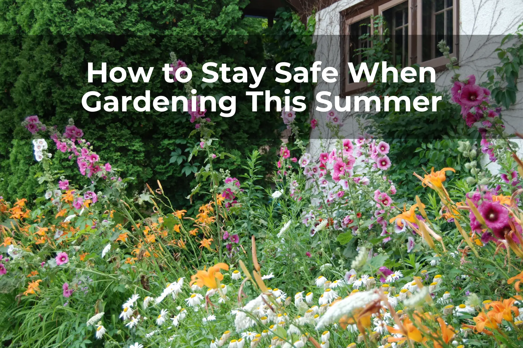 How to Stay Safe When Gardening This Summer