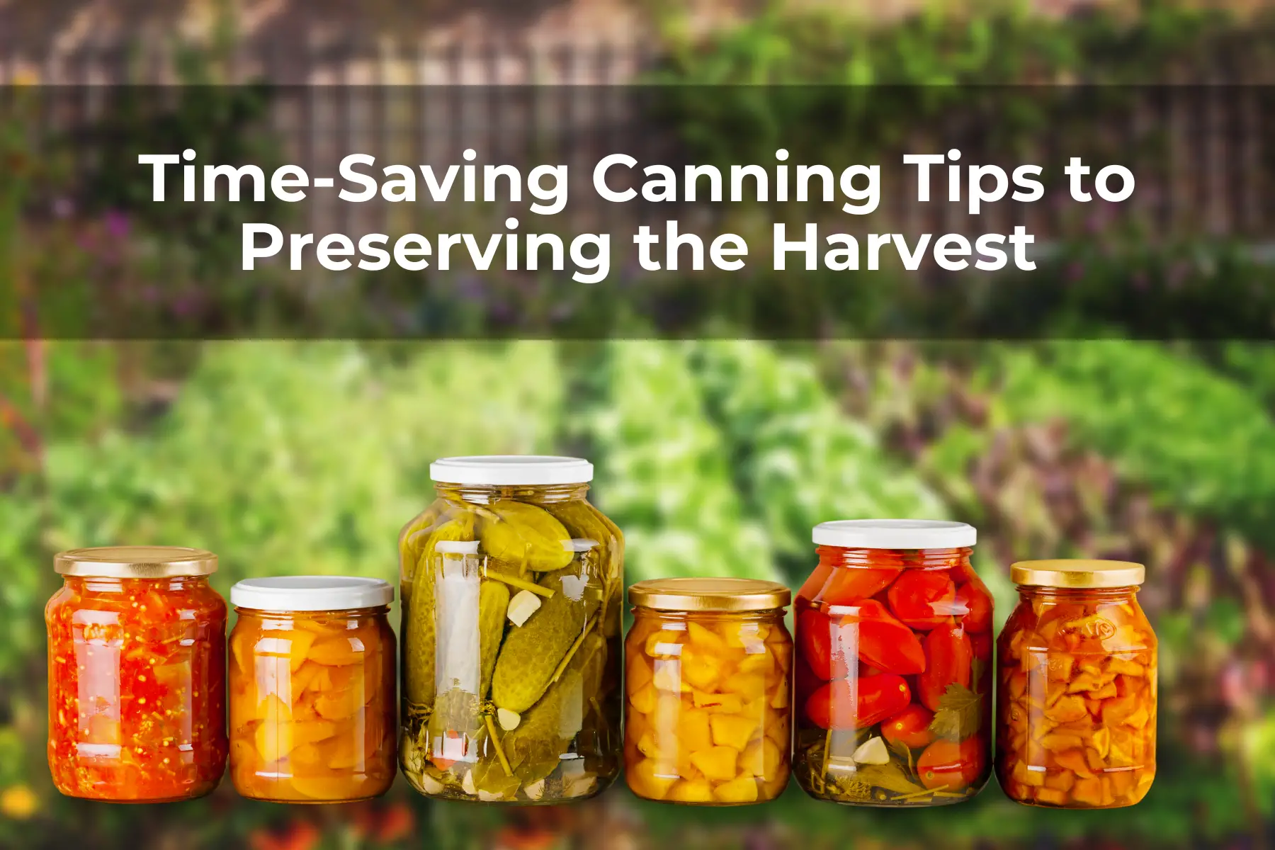 Time-Saving Canning Tips to Preserving the Harvest