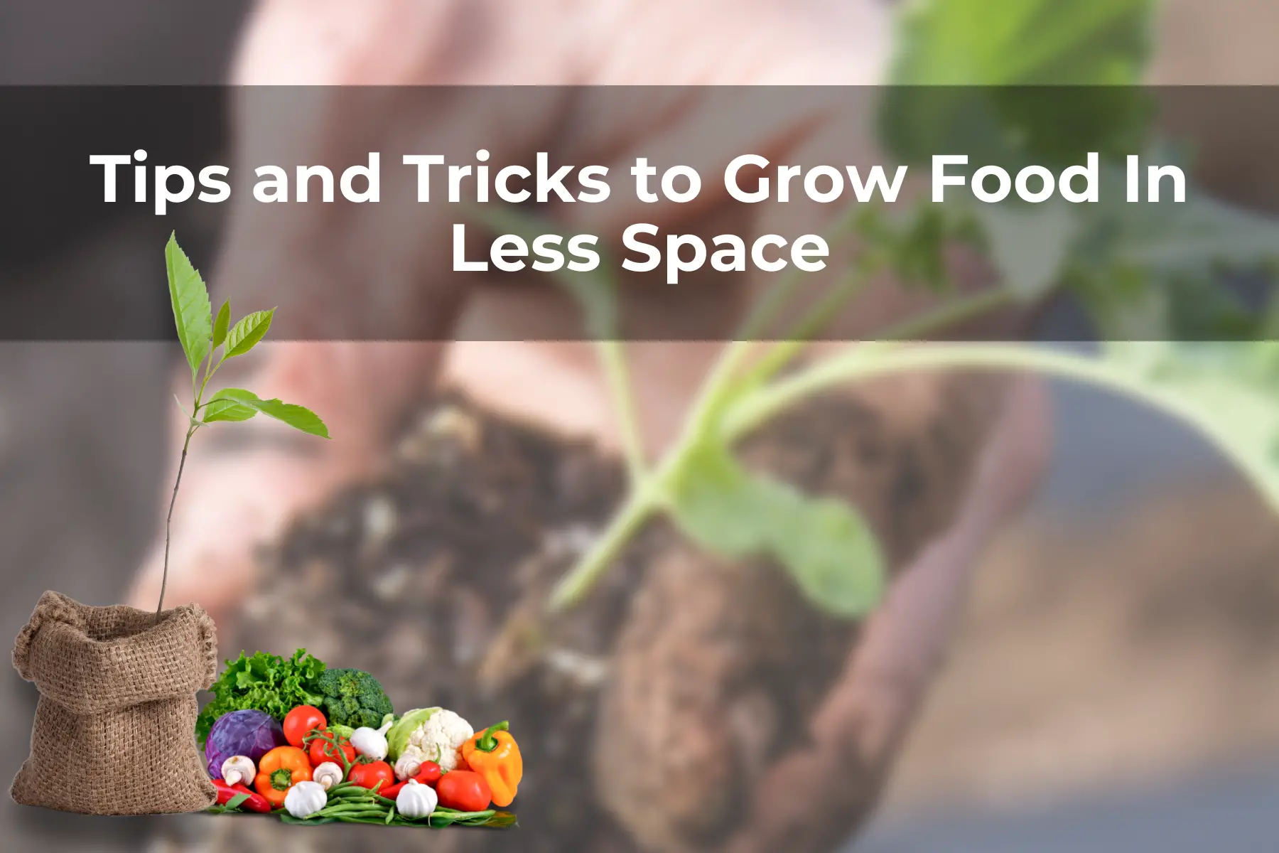 Tips and Tricks to Grow Food In Less Space
