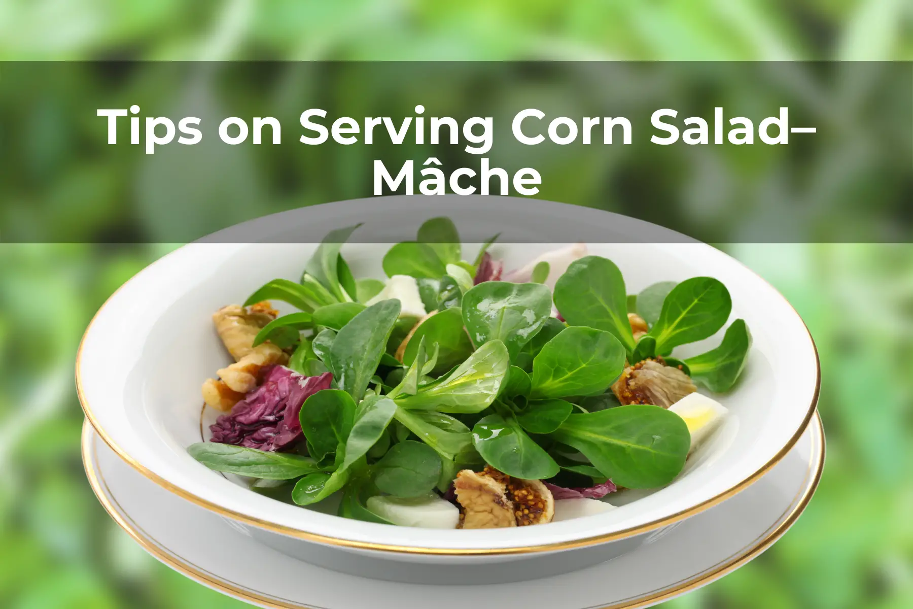 Tips on Serving Corn Salad–Mâche