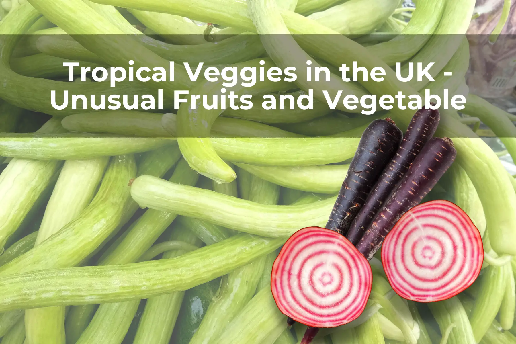Tropical Veggies in the UK - Unusual Fruits and Vegetable