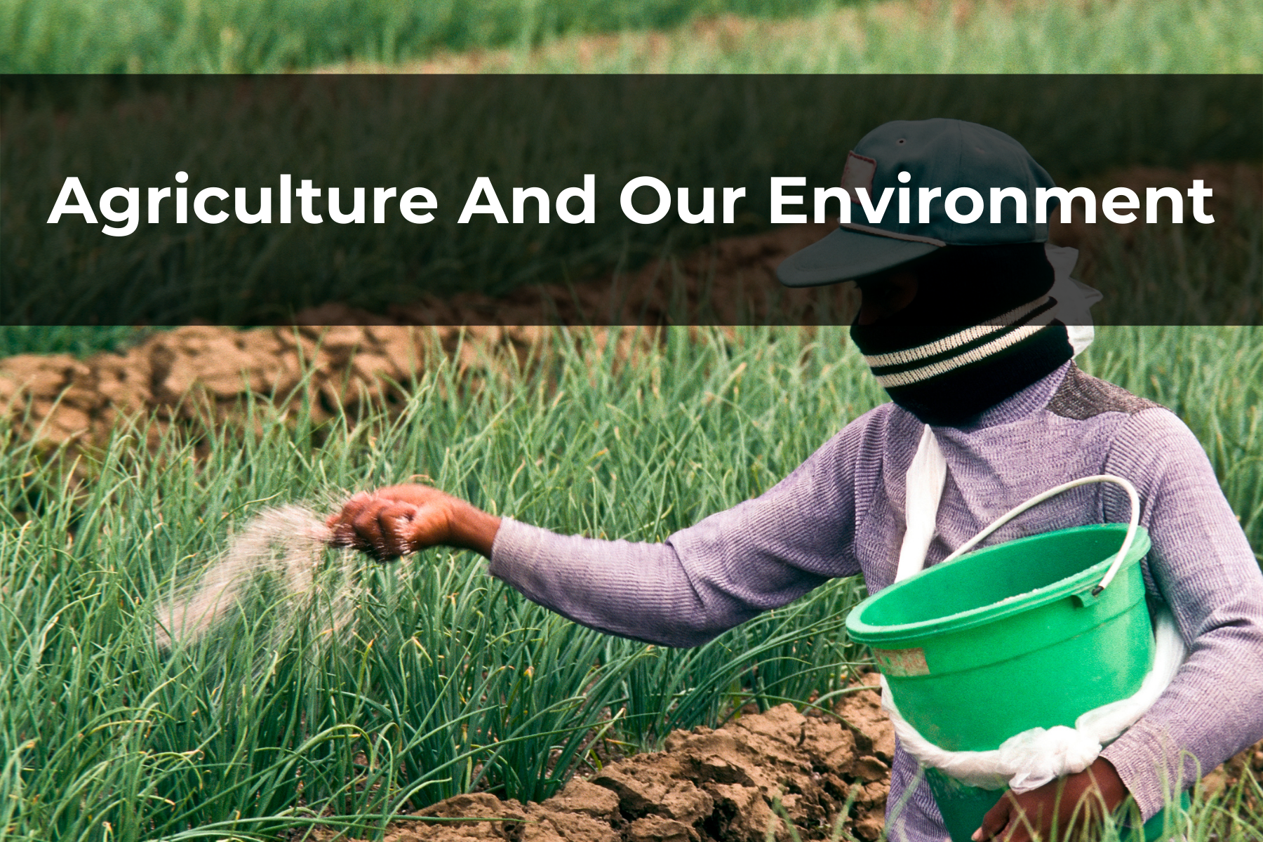 Agriculture And Our Environment