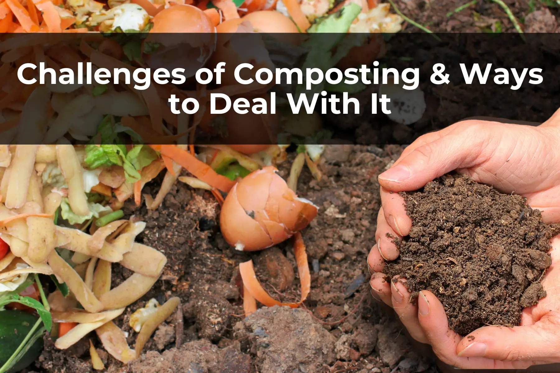 Challenges of Composting & Ways to Deal With It
