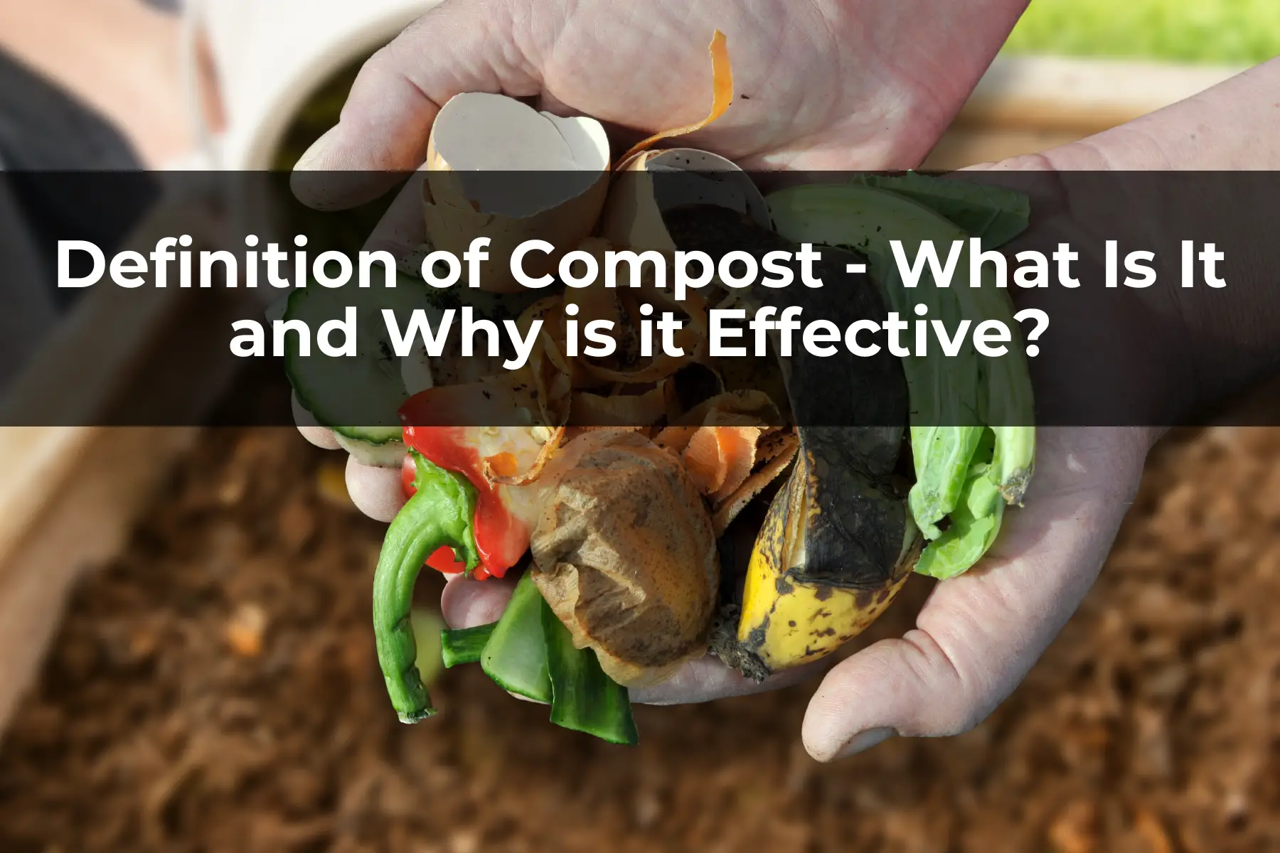 Definition of Compost - What Is It and Why is it Effective?