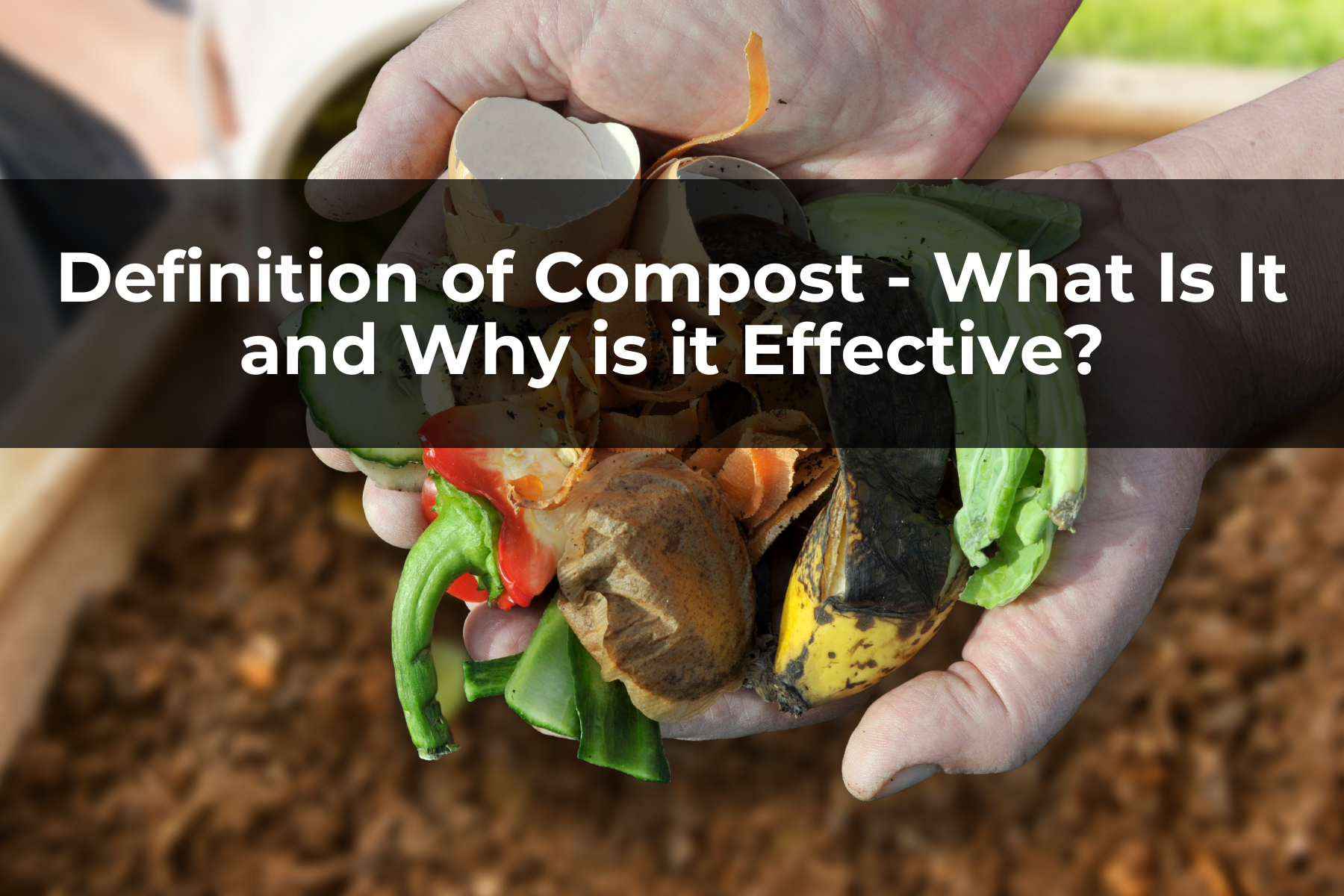 Definition of Compost - What Is It and Why is it Effective?