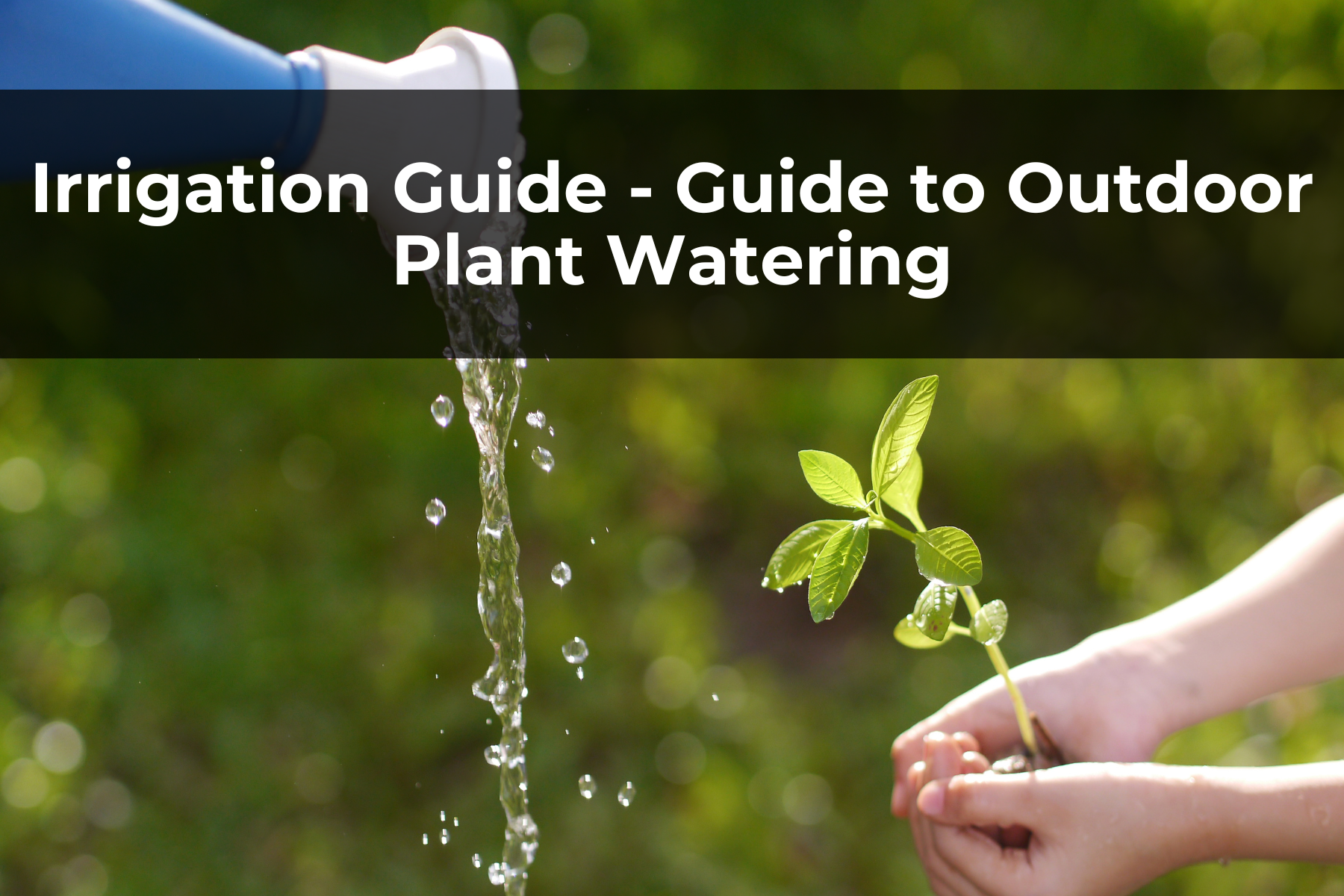 Irrigation Guide - Guide to Outdoor Plant Watering