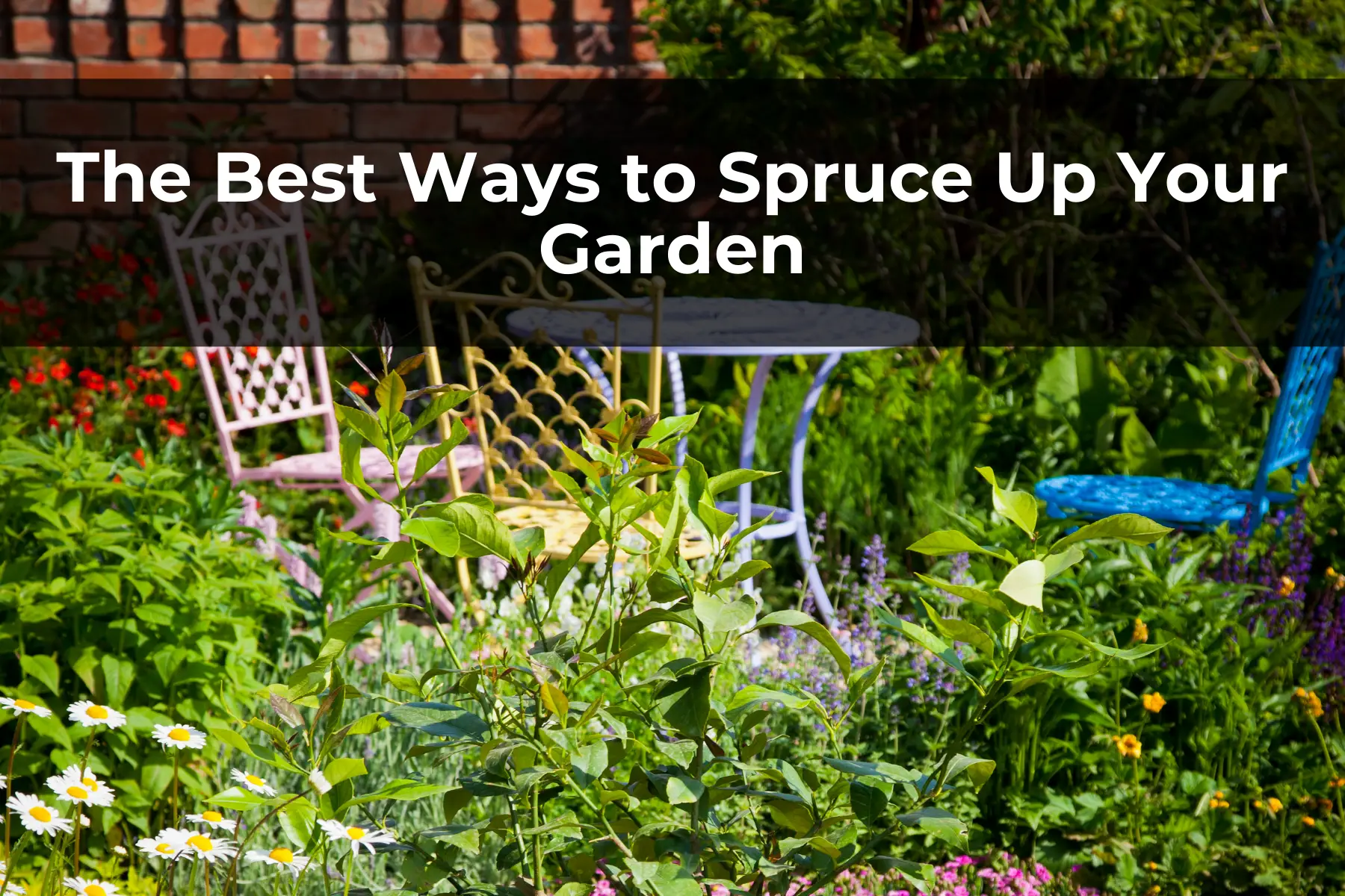 The Best Ways to Spruce Up Your Garden