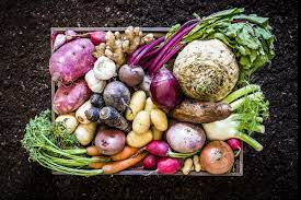 Growing Winter Root Veggies In Your Garden