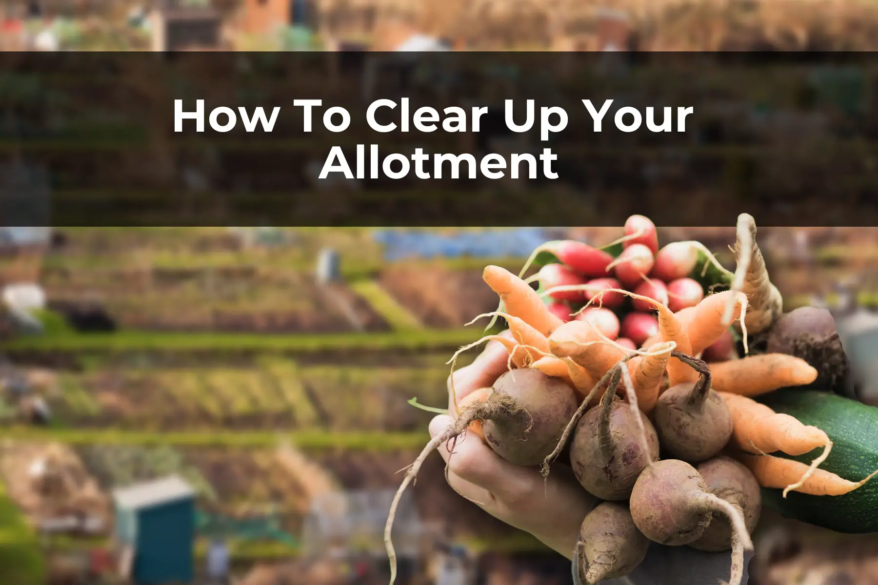 How To Clear Up Your Allotment