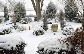 Making Your Gardens Look Good In Winter Season