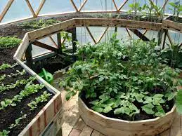 Geodesic Dome Greenhouse Ideas