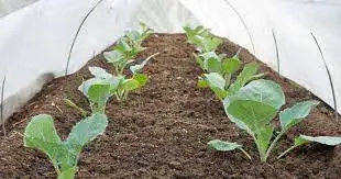 Using A Row Cover Tunnel To Protect Your Plants