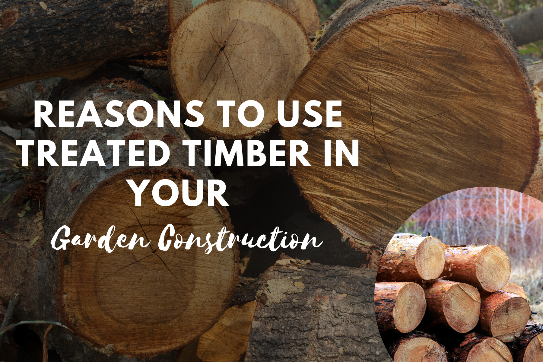 untreated timber in construction