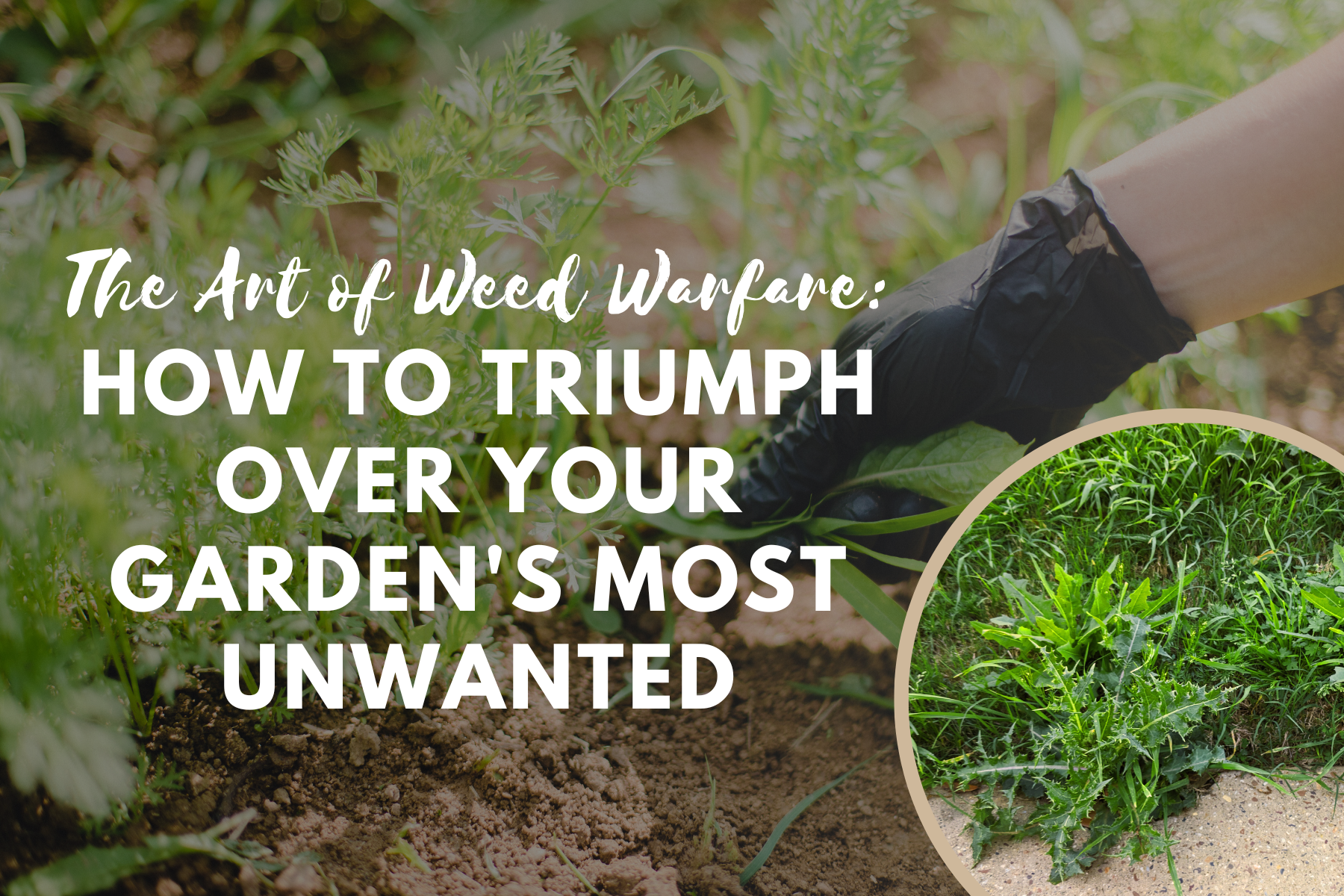 The Art of Weed Warfare: How to Triumph over Your Garden's Most Unwanted